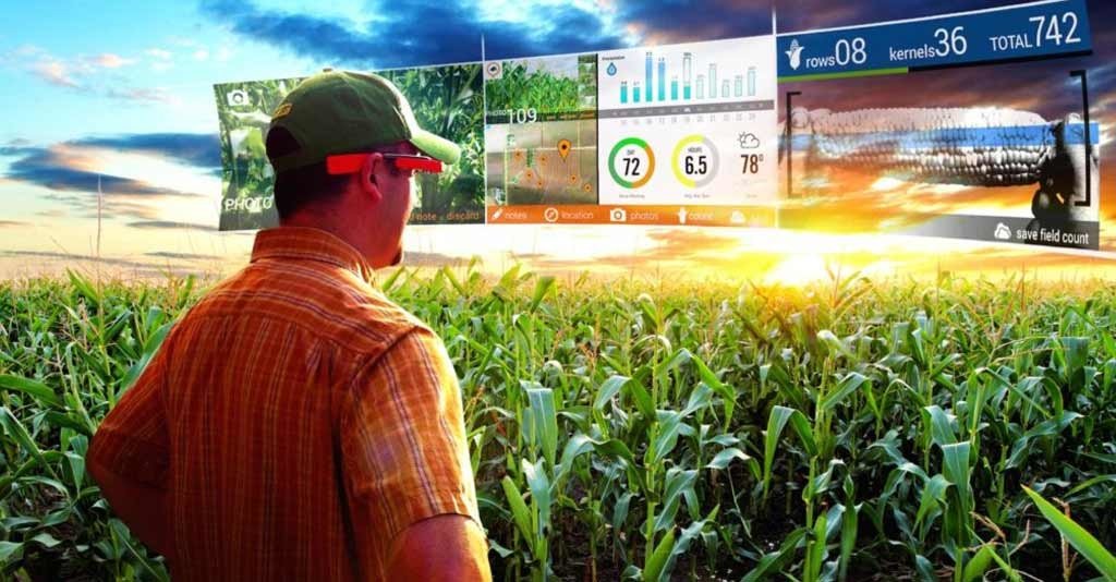 big data na agricultura