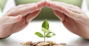 Empreendedorismo no Agronegócio