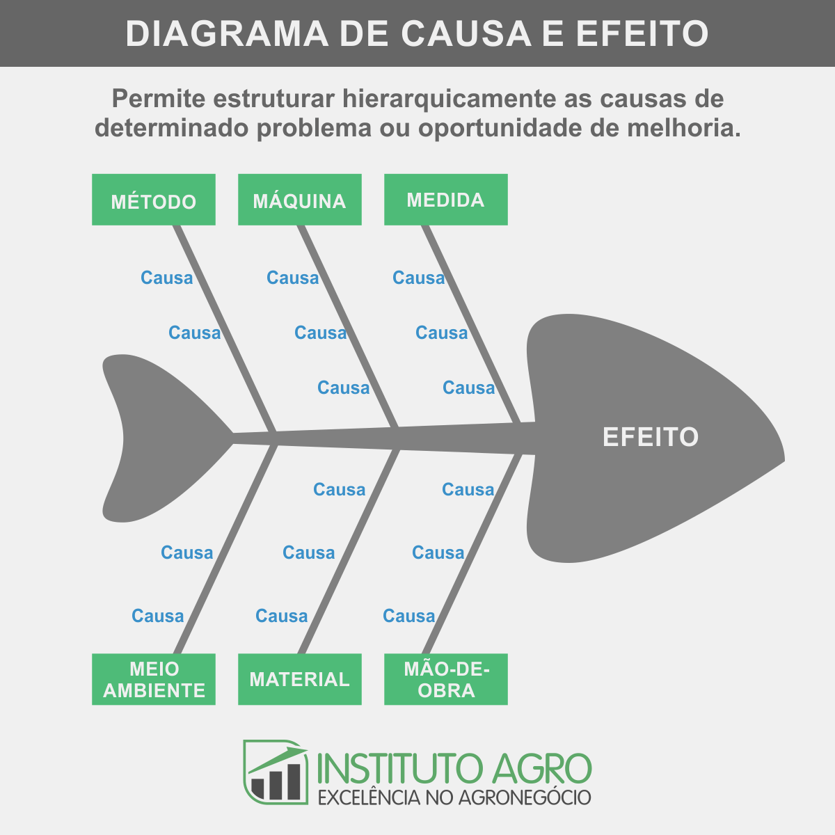 Ferramentas de Gestão no Agronegócio - Diagrama de Causa e Efeito