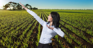 profissional de excelência