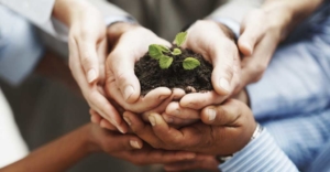 cultura organizacional agronegócio