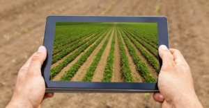 Startups Agronegócio