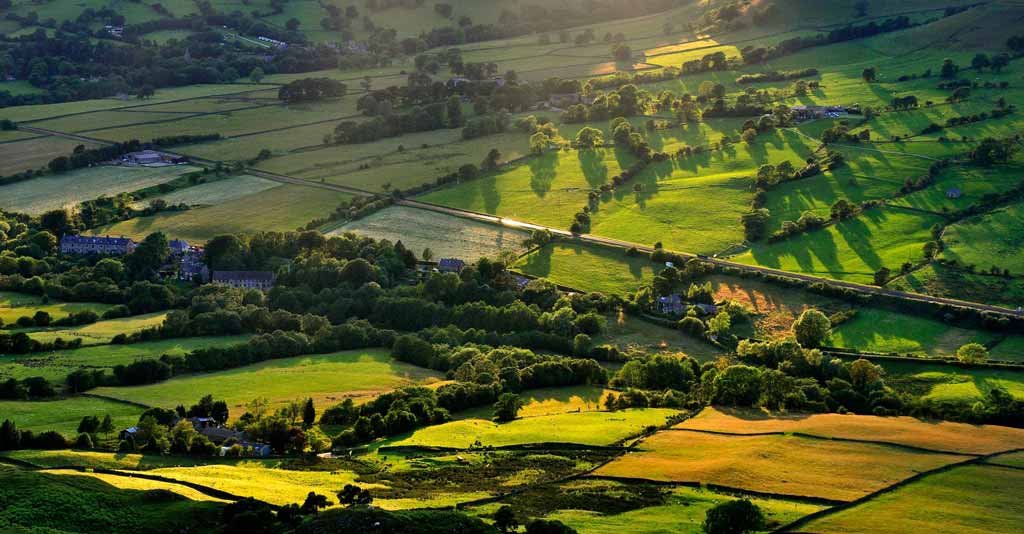 Agricultura Familiar e Sustentabilidade