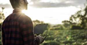 Engenheiro Agrônomo