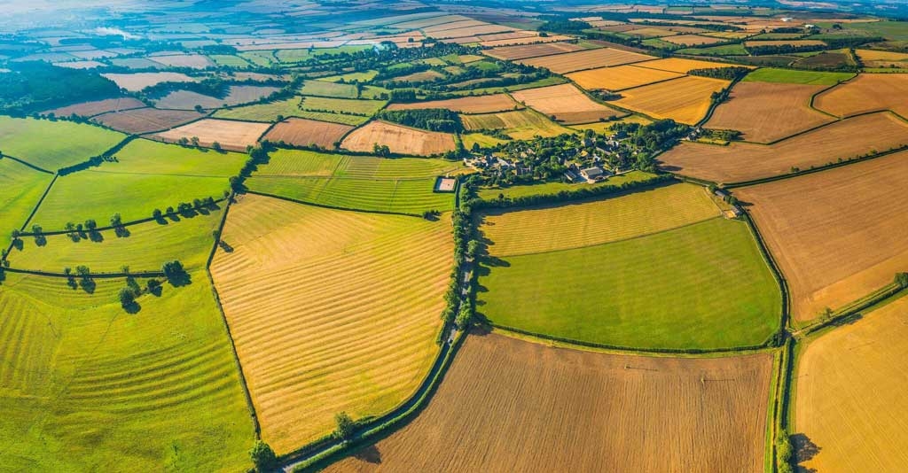 rotação de culturas