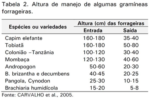 altura do pasto no manejo da pastagem