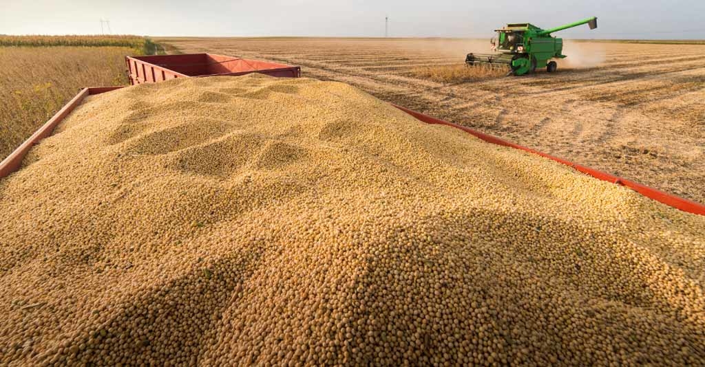 Como você pode evitar os principais tipos de perdas na colheita