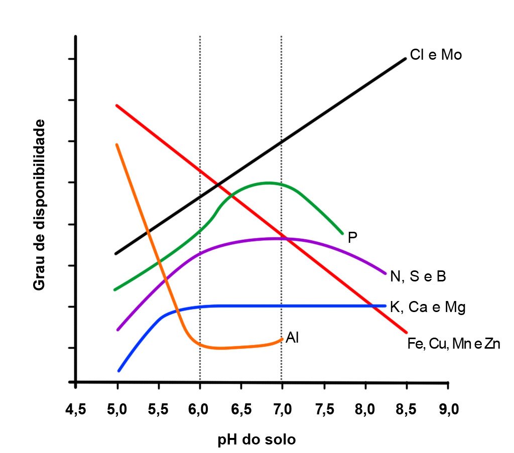 Calagem: disponibilidade de nutrientes na solução do solo