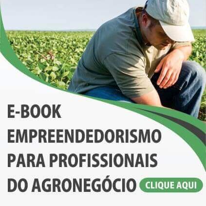 E-book empreendedorismo para profissionais do Agronegócio