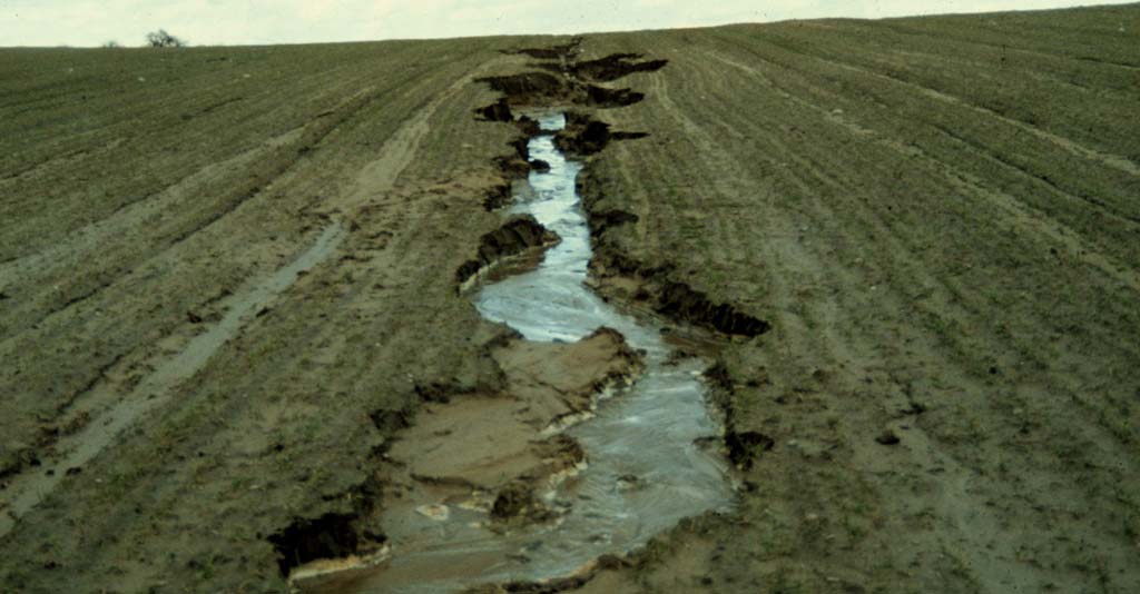 Erosão do solo: causas, consequências e como evitar