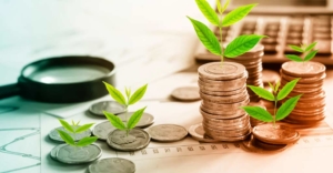 Fluxo de caixa no Agronegócio