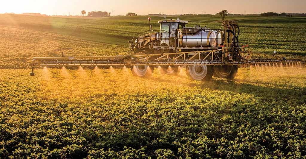 Uso correto de fungicidas no manejo de doenças de plantas