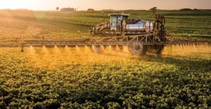 Uso correto de fungicidas no manejo de doenças de plantas
