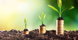 Gestão financeira no Agronegócio