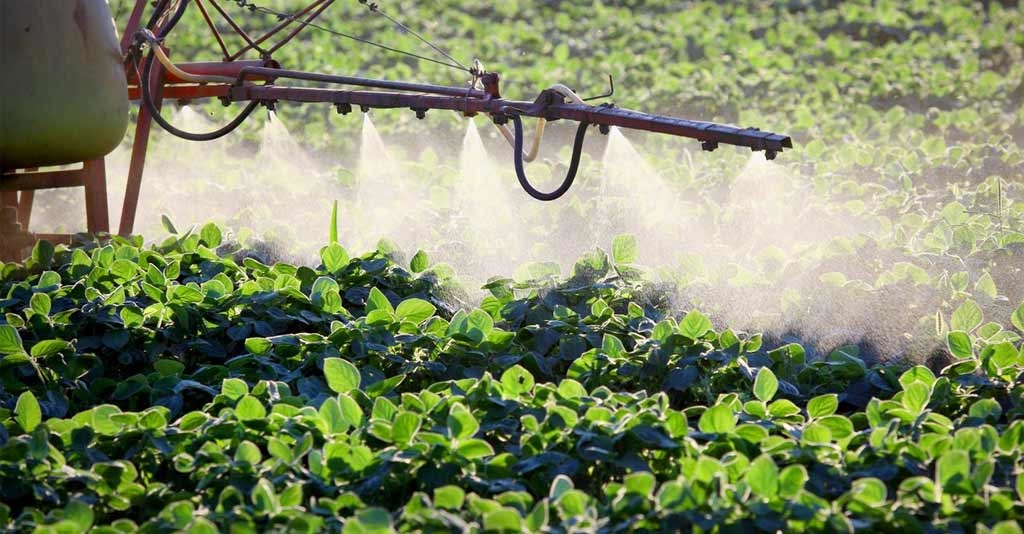 Guia simplificado sobre herbicidas para o manejo de plantas daninhas