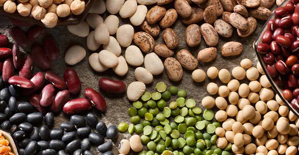 As 6 leguminosas mais importantes para o Agronegócio brasileiro