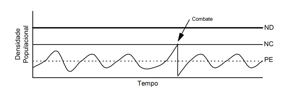 Como funciona e como realizar o Manejo Integrado de Pragas (MIP)