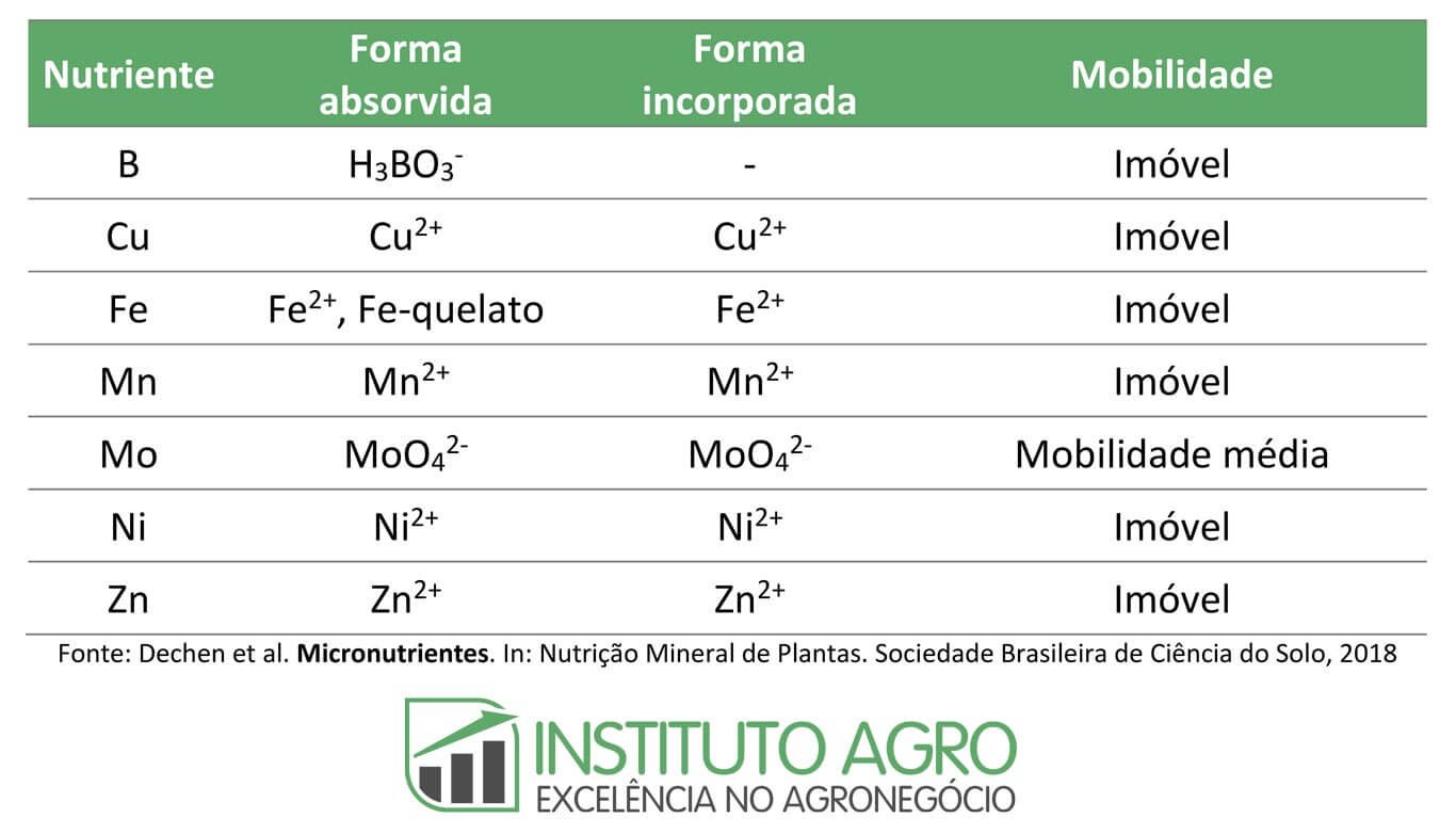 Micronutrientes: efeitos na produtividade e necessidade de adubação