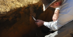 Perfil do solo para altas produtividades na agricultura