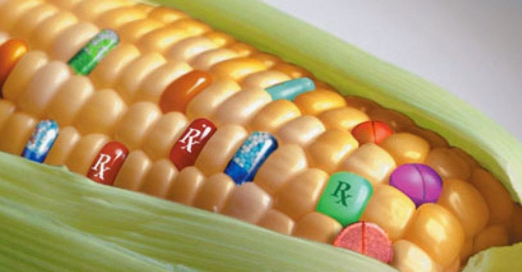 Transgênicos na Agricultura: o guia completo para os profissionais do Agro