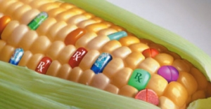 Transgênicos na Agricultura: o guia completo para os profissionais do Agro